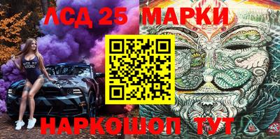 Альфа ПВП Гатчина