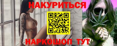 Альфа ПВП Гатчина