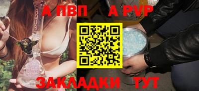 стаф Гай