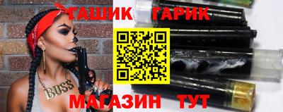 стаф Гай