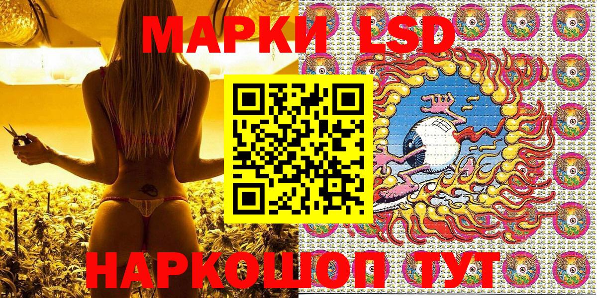 Наркотические марки 1500мкг  Вход с VPN  Наркотические марки 1500мкг  Малгобек 