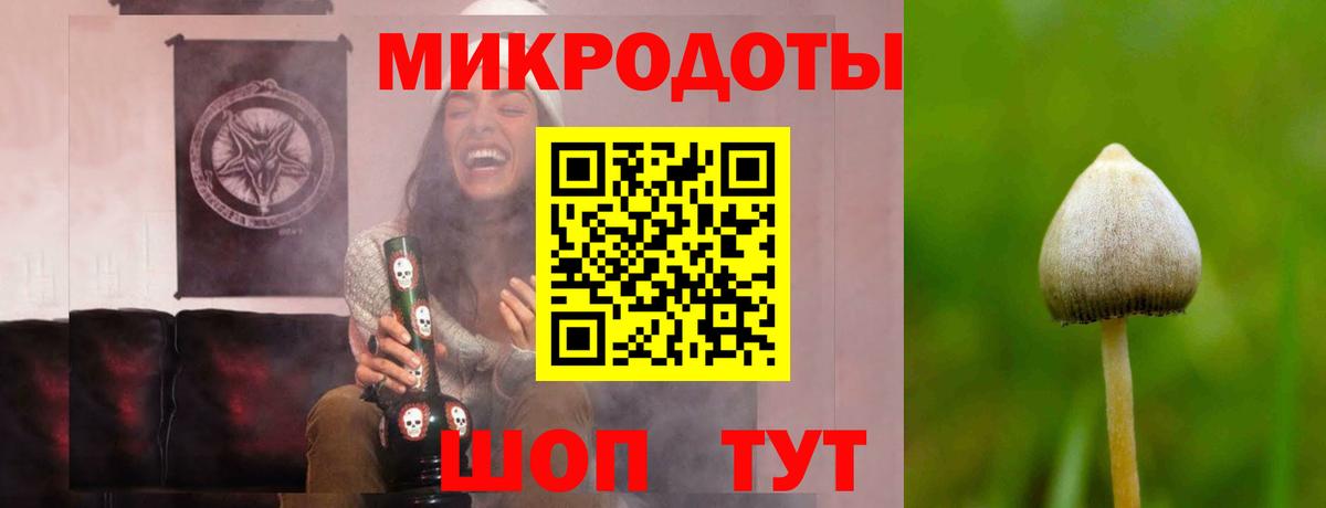 Галлюциногенные грибы Cubensis  Галлюциногенные грибы мицелий  Малгобек  Вход с VPN 
